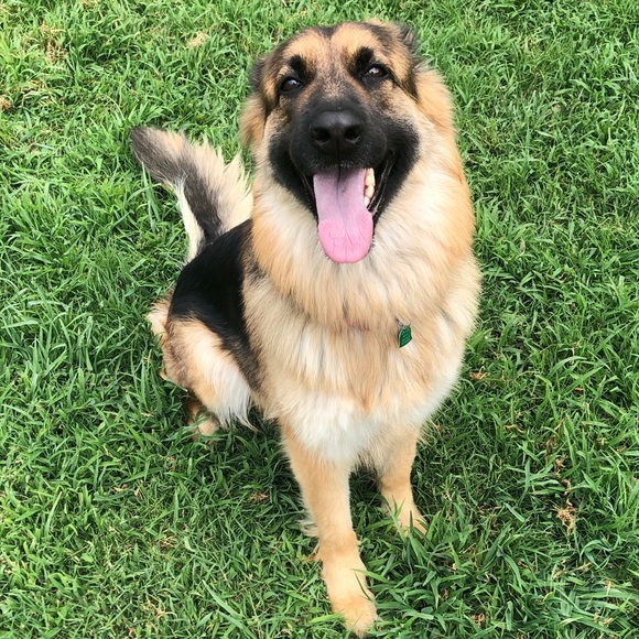 SHARE PLEASE! Shop and support my closet! 🥰 - Picture 4 of 8